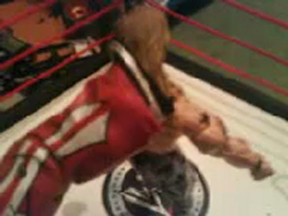 Hfw live figurine de catch