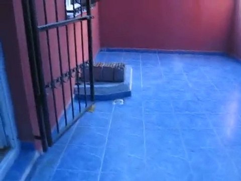 Esenyurt 0534 691 77 40