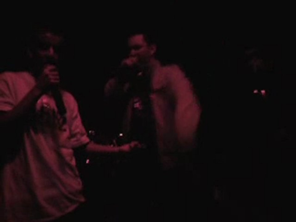 concert mQ