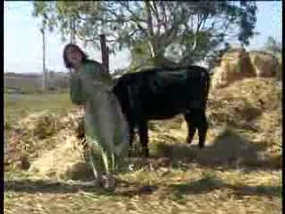 nabila brake el galbe