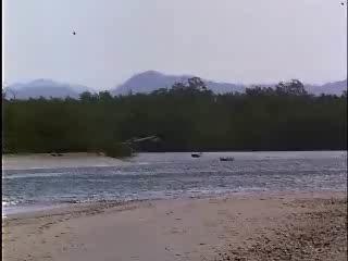 drunk pilot(e) ivre ?