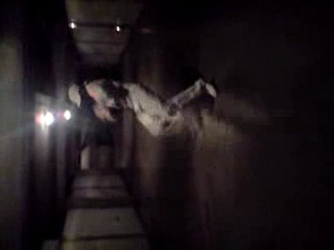 logobie Brasco MoskOo SikOo Spirou