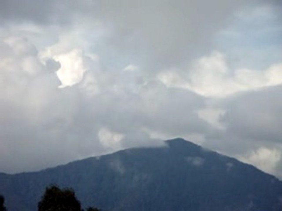 MOV04202