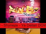 Cheb billal - Shyneze - Ya Dellali RAIN'B FEVER