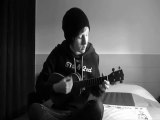 Umbrella cover ukulele