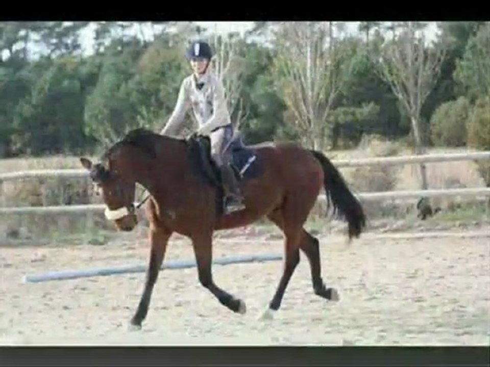 Precious / Karel Décembre 2O09