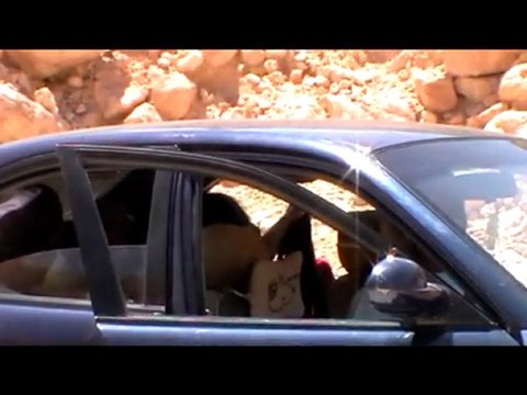 La Vallée des Rois et La Vallée des Singes. Cap. 2. (V.Fr.)