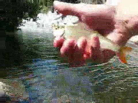 Voyage en CORSE pour la PECHE à la Mouche Acte 1 by NEMO