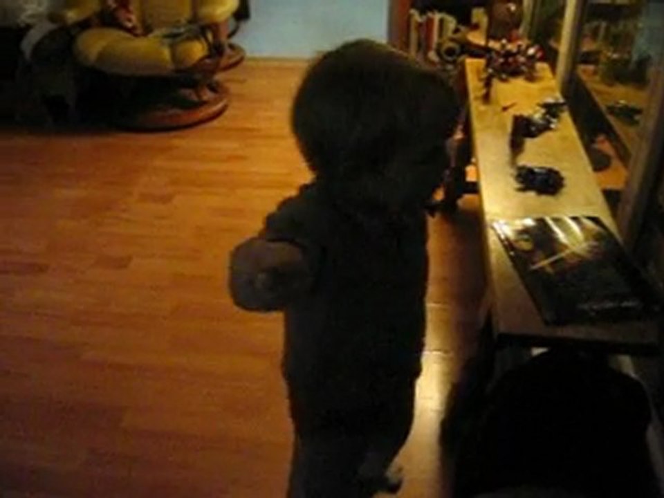 bonne année et meilleurs voeux à tous