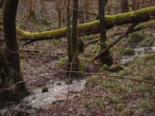 sortie trail 31.12.09