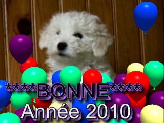 ***BONNE ANNEE 2010***