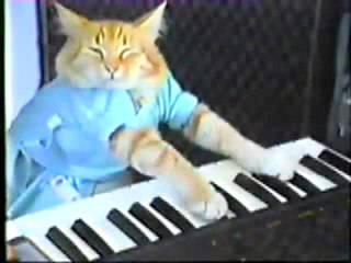 Keyboard Cat Original Video