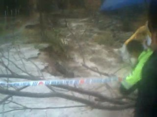 Crecida del río Lanjarón