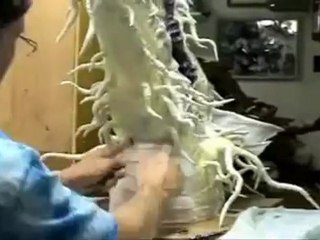 4 Dakikada Ejderha Yapımı