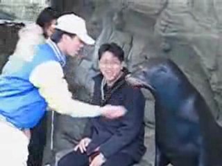 Poz Nasıl Verilir :)