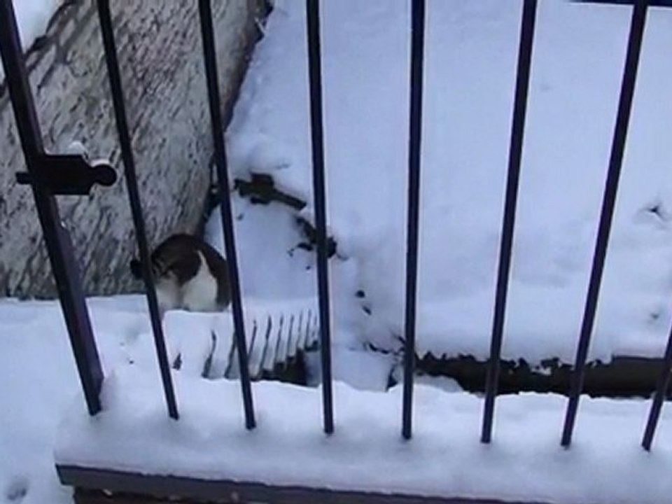 Première fois (Prince et Winnie)