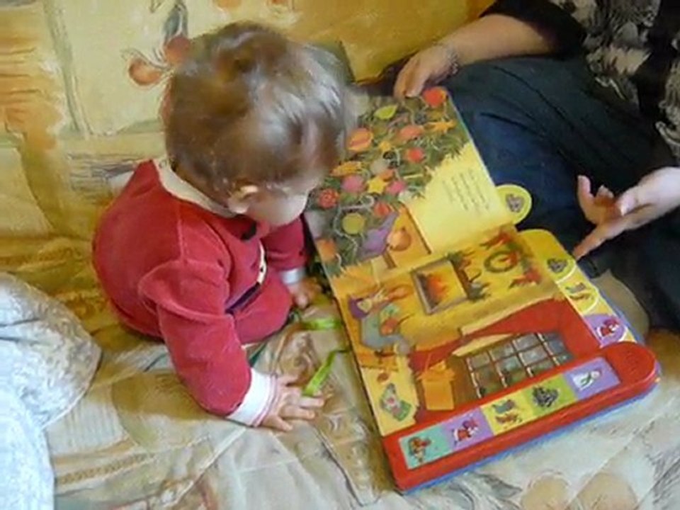 Le livre de Noel