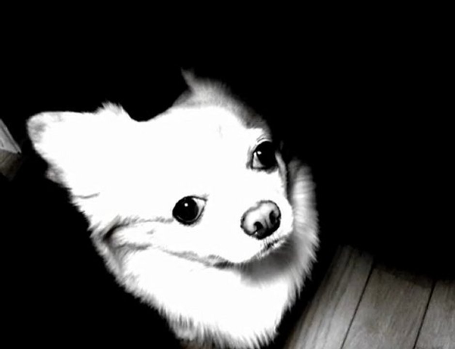 Bausch