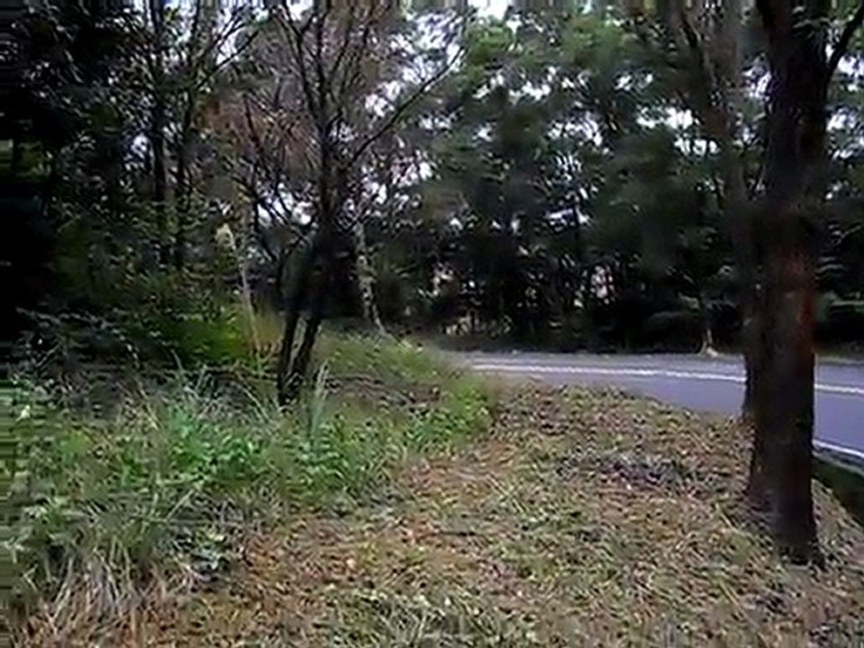 SDC10054