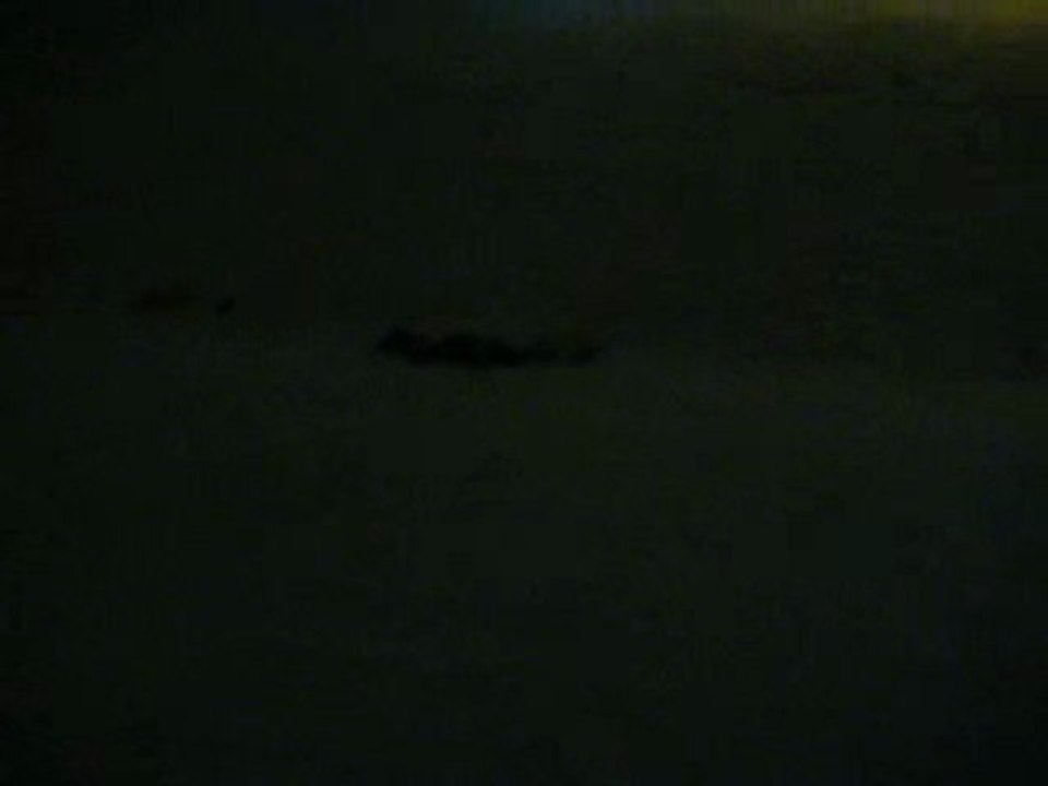 Face Plant