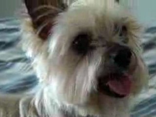 Juste après la douche (1)