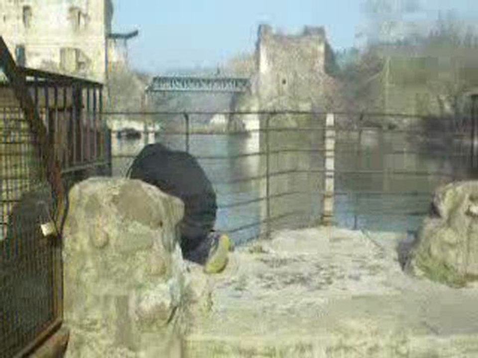 IL BORGHETTO