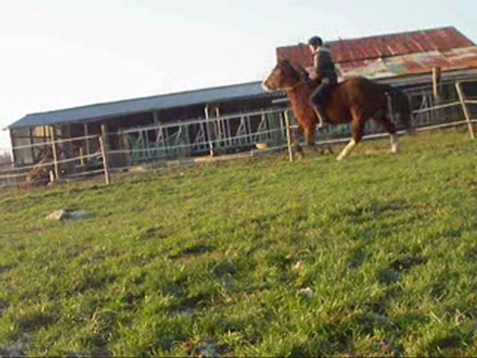Qualy a crus