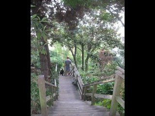 Chris & Sarah's Adventure to San Diego