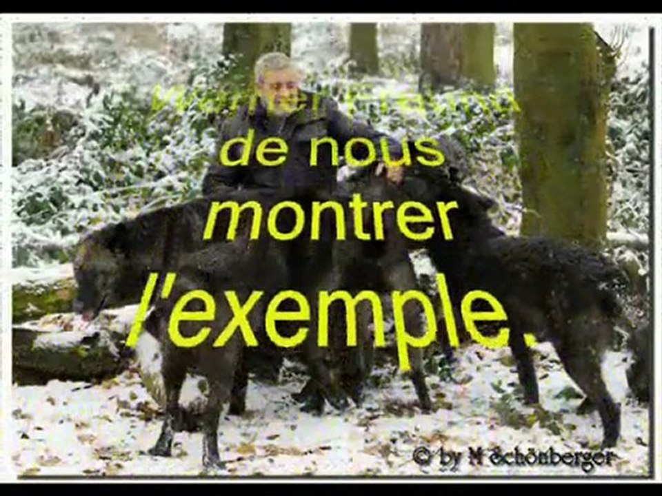 Hommage à mes frères, les loups