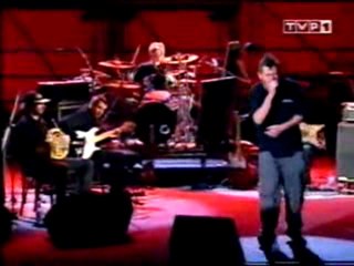 Kazik Staszewski - Człowieku jak masz żyć