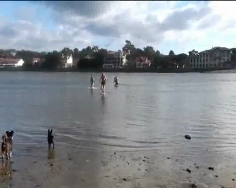 Bain d'hiver à hossegor