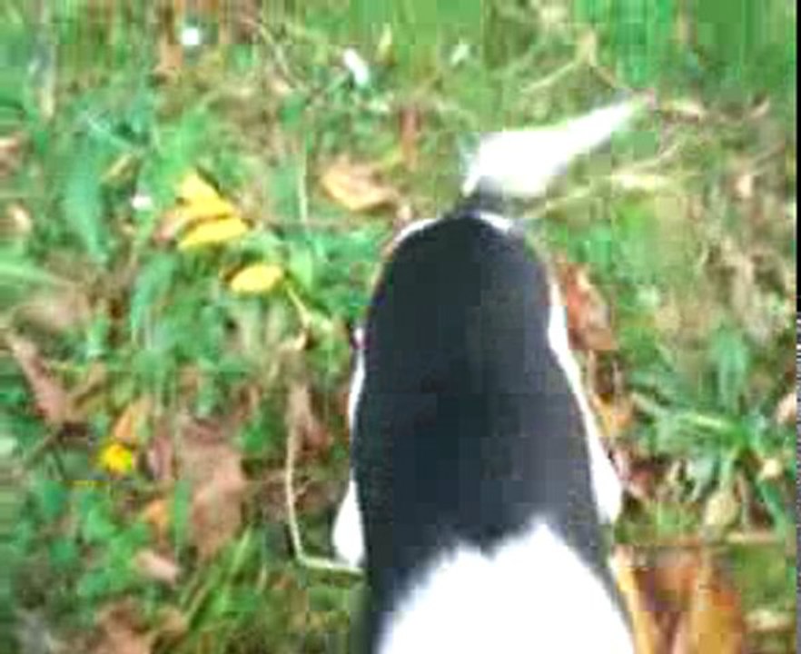 MOLLY le 13-11-09