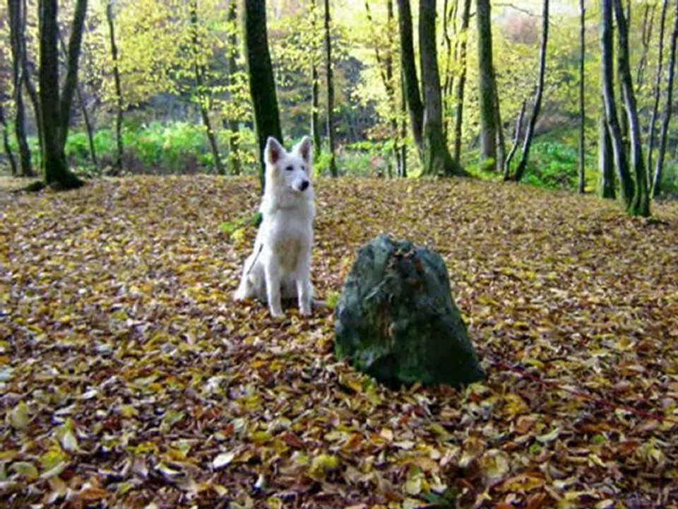 Esprit étula du Domaine des Fantômes Blancs.