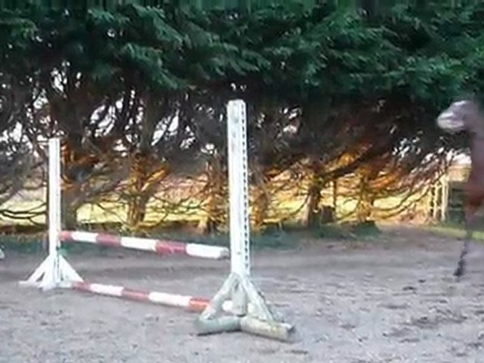 P1020090