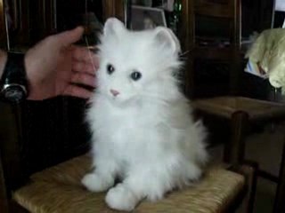 noel 2009 016