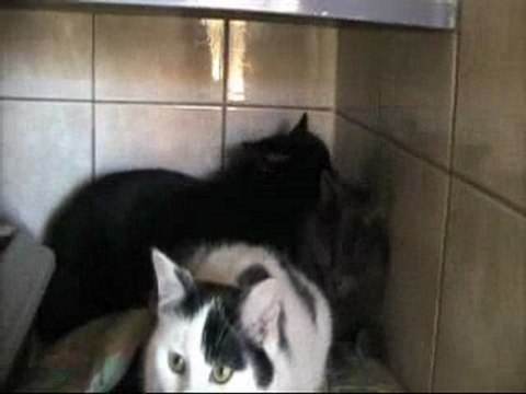 Error et bug calins - Underground - 26 décembre 2009