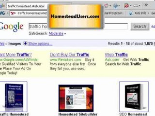 Understanding  Alt Text Feature Homestead Website