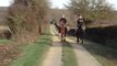 Pur Sang Arabe et Rocky Mountain Horse au galop