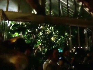 talku_circus-Hein- Atomic Night