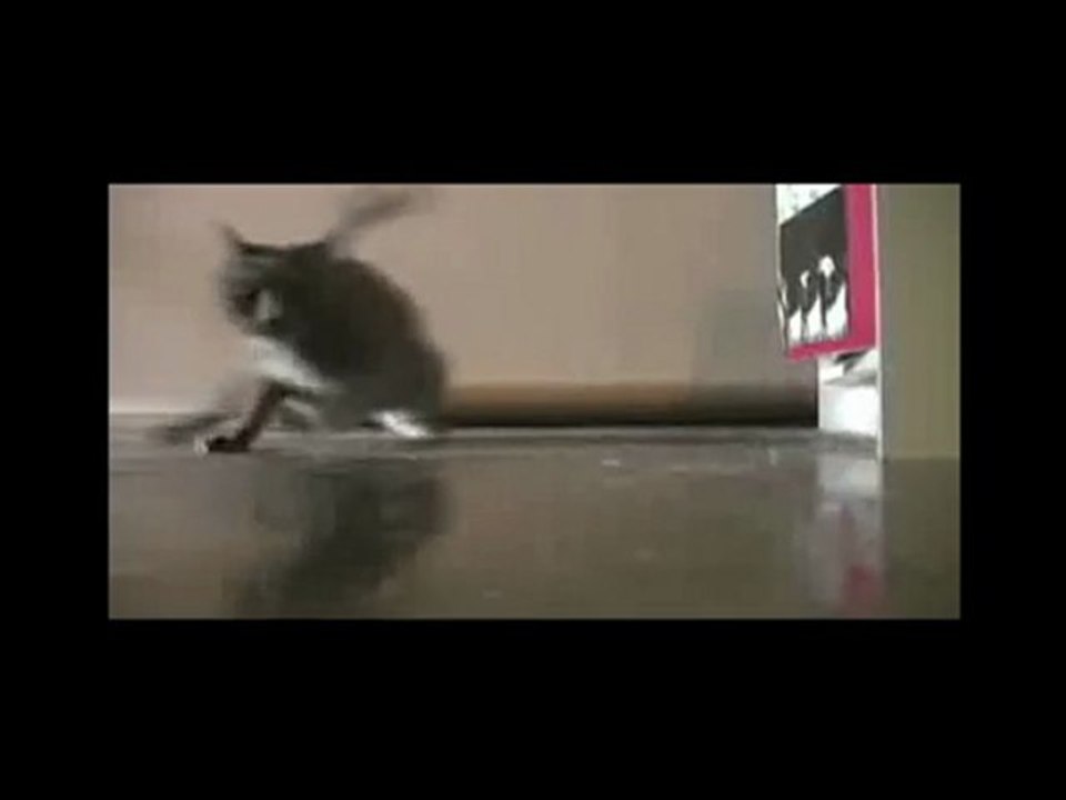 Chat Gyver