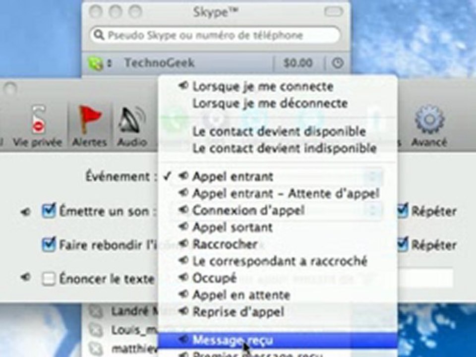Mute skype