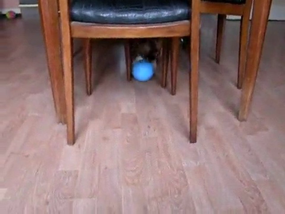 roxyfoot