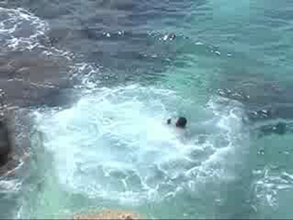 Cliff Jumper from Negril Jamaica