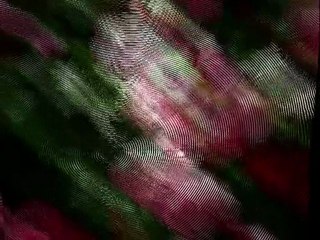 Roses garden relaxation music