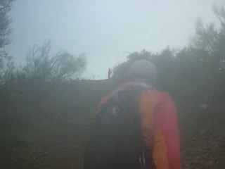 Cortafuegos Bajando A Arroyo Jaboneros