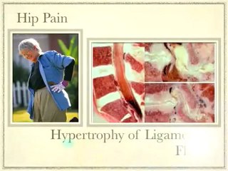 Best Chiropractic Center with US Chiropractors in Malaysia