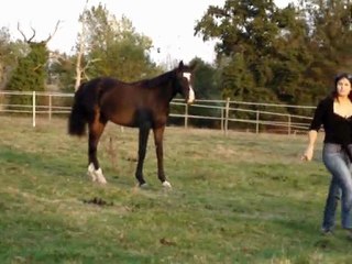 Upsilon fin septembre 2009