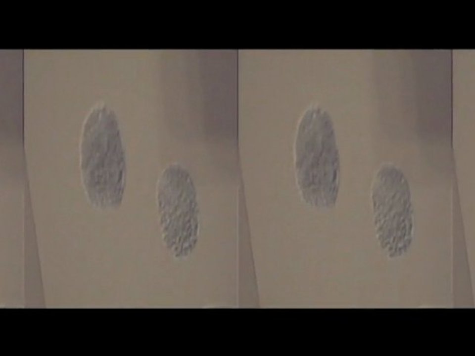 Faites entrer l'accusé (long)