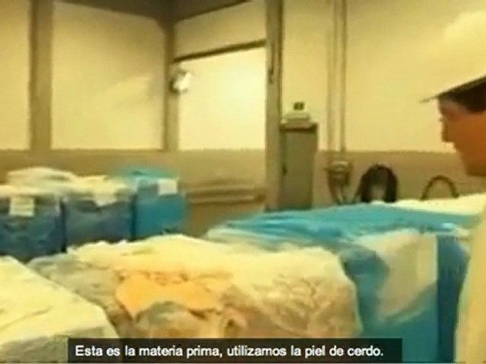 ¡Aditivos con piel de cerdo! (la gelatina ó E441)