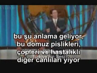 Domuz eti neden yenmez sonunda anladılar